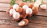 مصرف تخم مرغ را بیشتر به چه افرادی توصیه می کنیم؟
